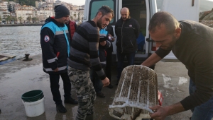 DİKİLİ'DEN UZAKDOĞU'YA