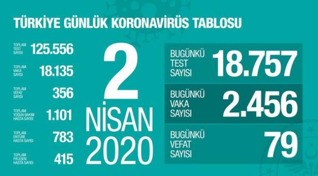 TÜRKİYE'DE KORONADAN SON 24 SAATE 79 KİŞİ, TOPLAMDA 356 KİŞİ HAYATINI KAYBETTİ