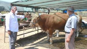 ALİAĞA'DAKİ KURBAN KESİM YERLERİ NERELER?