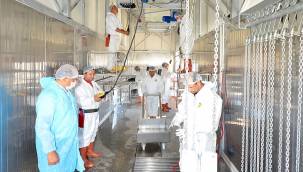 İZMİR BÜYÜKŞEHİR BELEDİYESİ ALİAĞA'DA DAHİL ÇEŞİTLİ MEZBAHALARDA 7 KONTEYNER VE 12 ÇADIRLA HİZMET VERECEK