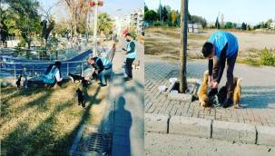 TÜGVA ALİAĞA TEMSİLCİLİĞİ SOKAK HAYVANLARINI UNUTMADI