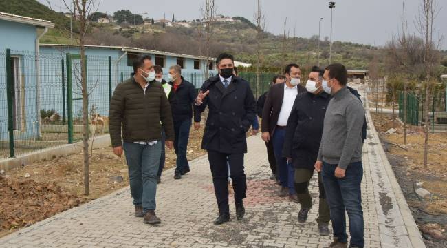 ALİAĞA HAYVAN BAKIM EVİ ÇALIŞMALARI SÜRÜYOR