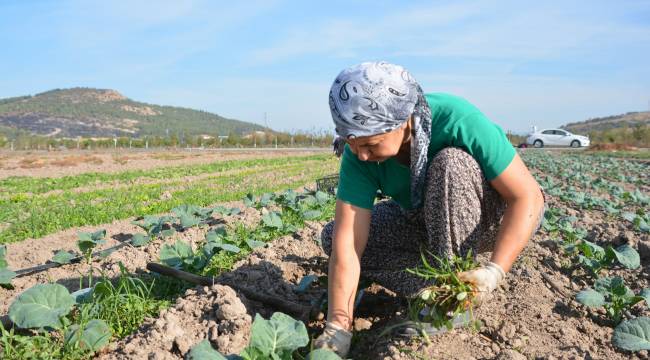 "ALİAĞA TOPRAK VE TARIM ATLASI"İÇİN ÇALIŞMALAR BAŞLADI