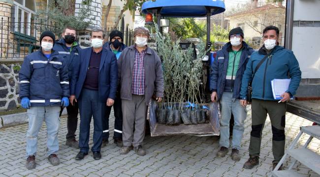 BÜYÜKŞEHİRİN ARDINDAN ALİAĞA BELEDİYESİ DE FİDAN DAĞITIMINA BAŞLADI