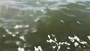 AK PARTİ'DEN SOYER'E TEPKİ GELDİ 