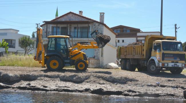 ÇAKMAKLI SAHİLİ TEMİZLENDİ