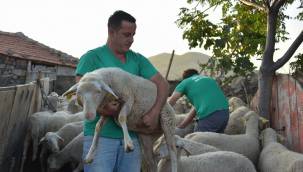 ALİAĞA BELEDİYESİ'NDEN MANAVGAT KÖYLÜSÜNE DESTEK