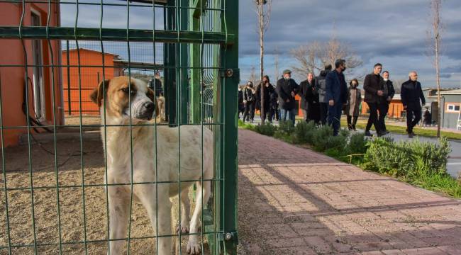 MUHTARLAR HASTANE İNŞAATI VE PATİ PARKI GEZEREK ÇALIŞMALAR HAKKINDA BİLGİ ALDI