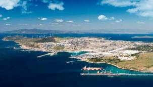 SOCAR-PETKİM BÖLGESİNDEKİ ORMANLIK ALAN "SANAYİ ALANI"İLAN EDİLDİ