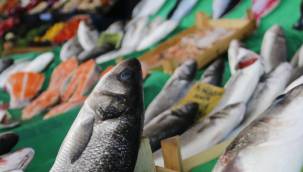 DENİZLERDE AV YASAĞI BAŞLIYOR