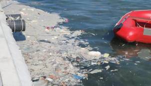 FOÇA'DA TEDİRFGİN EDEN GÖRÜNTÜLER