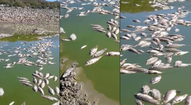 BAKIRÇAY'IN ARDINDAN BU DEFA DİKİLİ'DE YAŞANDI