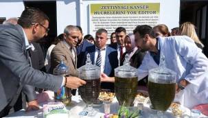 ÇALTILIDERE'DE ZEYTİN ŞENLİĞİ VARDI