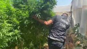 İZMİR'İN 4 İLÇESİNDE ZEHİR BASKINI: 14 GÖZALTI