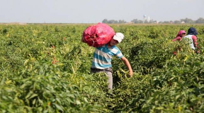 "DÜNYA ÇOCUK HAKLARI GÜNÜ"NDE HAZIRLANAN RAPORDA TÜRKİYE'Yİ UTANDIRAN TABLO