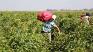 "DÜNYA ÇOCUK HAKLARI GÜNÜ"NDE HAZIRLANAN RAPORDA TÜRKİYE'Yİ UTANDIRAN TABLO