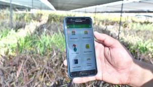 BU UYGULAMA ÇİFTÇİLERİ BÜYÜK BİR DERTTEN KURTARACAK