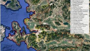 ALİAĞA'DAKİ ORMANLARA GİRİŞLER AY SONUNDAN İTİBAREN YASAKLANDI