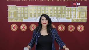 TÜPRAŞ İŞÇİLERİNİN TALEPLERİ MECLİS GÜNDEMİNDE