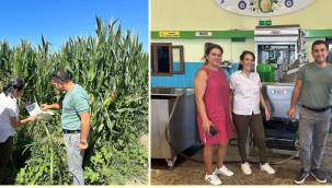 ALİAĞA İLÇE TARIM VE ORMAN MÜDÜRLÜĞÜ ARALIKSIZ ÇALIŞIYOR