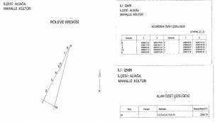 CUMHURBAŞKANI ERDOĞAN, ALİAĞA DAHİL BAZI BÖLGELERDEKİ ALANLARI ORMAN SINIRI DIŞINA ÇIKARDI