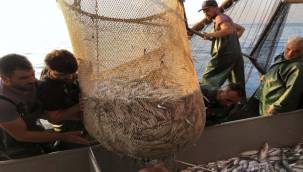 EGE DENİZİ'NDE AV YASAĞI BAŞLADI