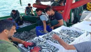 AV YASAĞI BİTTİ,AĞLARDAN HAMSİ VE SARDALYA ÇIKTI