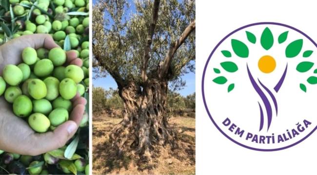 ZEYTİNLİKLERİN YOK EDİLMESİNE ALİAĞA DEM PARTİ'DEN TEPKİ