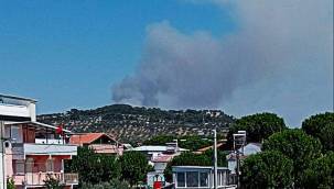 ALİAĞA'DAKİ YANGIN BÜYÜMEDEN SÖNDÜRÜLDÜ