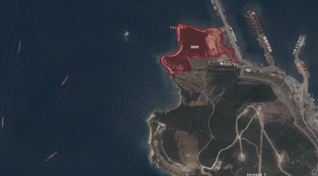 HABAŞ'IN "ORMANI YUTMA PLANI"ASKIDA