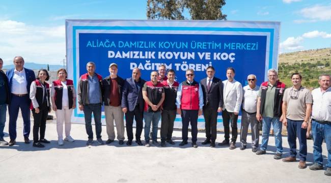 ALİAĞA'DA ÇİFTÇİLERE KOÇ DAĞITIMI YAPILDI