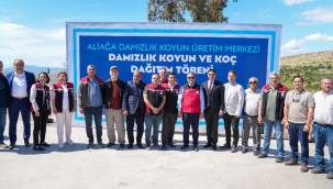 ALİAĞA'DA ÇİFTÇİLERE KOÇ DAĞITIMI YAPILDI